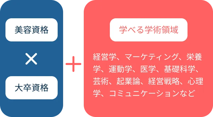 美容資格×大卒資格+学べる学術領域の図