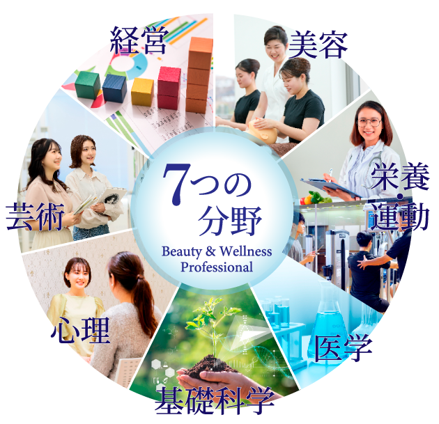 7つの分野〜美容／栄養／運動／医学／心理／芸術／経営