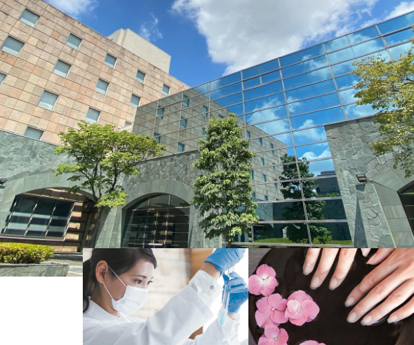 専門職大学とは